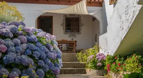 Quinta Do Acipreste (Antiga Quinta Da Torre) - Image 4