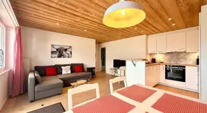 Modernes Apartment - Lakeview Sunnmatte - Image 2