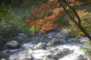 Kanko Ryokan Sugigase - Image 4
