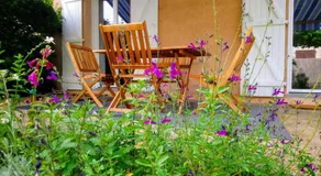 Fleurs de Cosmos, suite lumineuse climatisée - Image 5