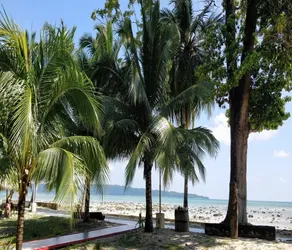 DOLPHIN BEACH RESORT - Image 4