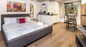 Pet Friendly Studio in Chinatown - Image 2