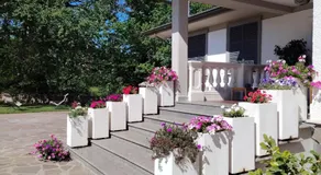 Casa Yoga 2 Rilassati in una oasi di pace immersa nella natura a soli 60 minuti da Roma - Image 3
