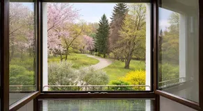Acqua & Luce - Image 5
