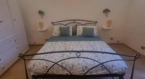 Domàtio melissa - Image 2
