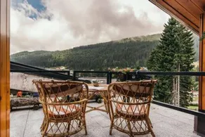 CENTRAL WOODEN CHALET WITH FOREST VIEW - Image 3