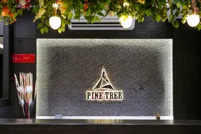 Pine Tree Boutique Hotel near US Consulate & Apollo Hospital - Image 3