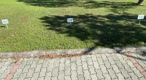 Büki Villa Park Apartman - Image 4