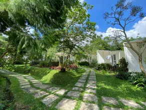 Leuweung Geledegan Ecoldge - Image 5
