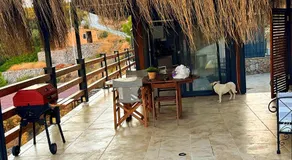 Dolce Vita Sogut - Image 4