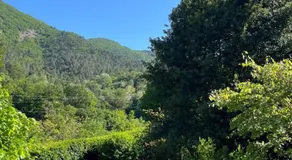La Césarine - Image 4