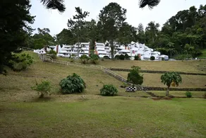 The Pines @ Fraser's Hill - Image 5