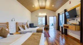The Deodar Stays - Image 2