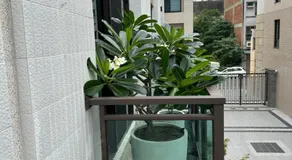 Ten house - Image 5