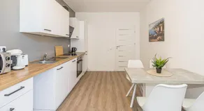 E01 Zentrales Apartment HBF Halle - Image 5