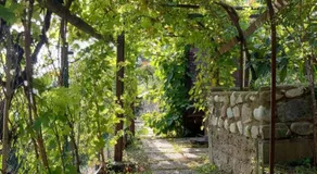 Al Vecchio Lavatoio - Relax in collina - Image 5