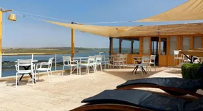 Ostrea - Lagune de Oualidia - Image 3