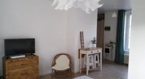 Les agapanthes - Image 2