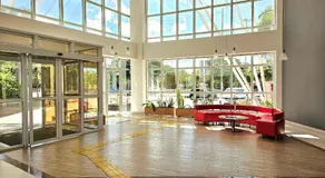 Ibis Mossoro - Image 2