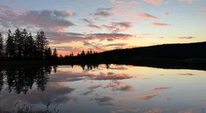 Ferienwohnung Huskyhausen - Schlittenhunde Erlebnisse & Urlaub mitten in der Natur! - Image 3