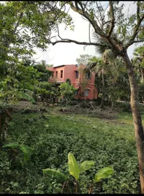 Amullya Kanan Villa, Sundarban - Image 5