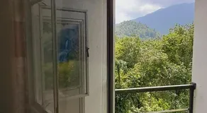 38 guest house - Image 4
