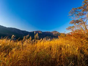 SPRINGS VILLAGE HAKONE ~Glamping Villa & Cabins~ - Image 4