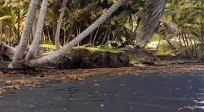 Sea Breeze Holiday Apartments 3 Minute Walk to Black Sand Beach - Image 3
