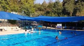 Bloom's Studio הסטודיו של בלום - Image 4