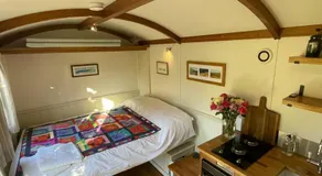 Dartmoor Shepherds Hut at The Shrubbery, River Walkham, Horrabridge, Yelverton - Image 2