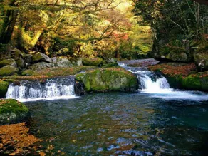 Shiroyamaso - Image 4