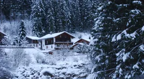 Backyard Mountain - Image 5