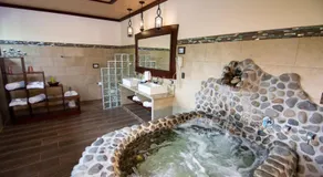 Arenal Springs Resort & Spa - Image 4