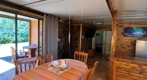 Las palmeras de Colbún - Image 2