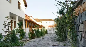 Pensiunea Rustic - Image 3