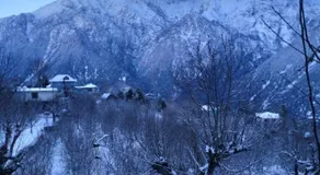 Pranshi Home Stay Kalpa - Image 3