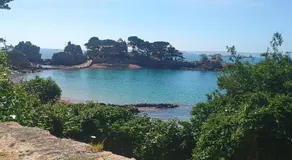 Esprit d'Antan - Image 5