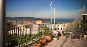 Il grifo - Image 3