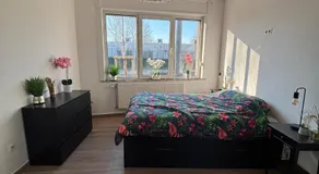Modern apartment in Brussels, ground floor - Image 5