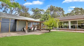 Koalas Songs - Image 5