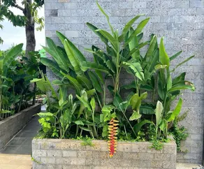Resort Mộc Hồ - Image 4