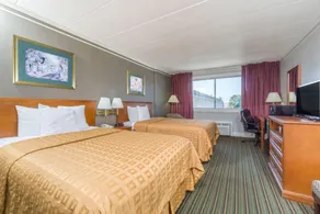 Days Inn & Suites by Wyndham Columbus East Airport - Image 5