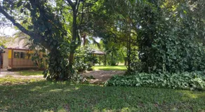 Chacara do japonês - Image 5