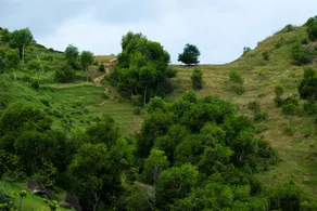 Queensa Hotel - Image 5