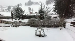 Waldfrieden - Image 4