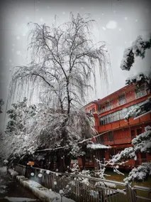 Peach Blossom Yuanyanhuang Villa - Image 4
