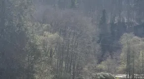 Joli appartemen Avec Vue Sur Vienne - Image 4