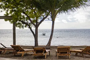 Dive Spot Asia and Brumini Beach Resort - Image 4