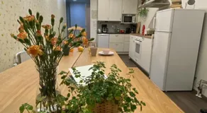Savonlinna Rentals - Image 2