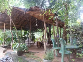 Ariya Rest & Ayurveda spa - Image 2